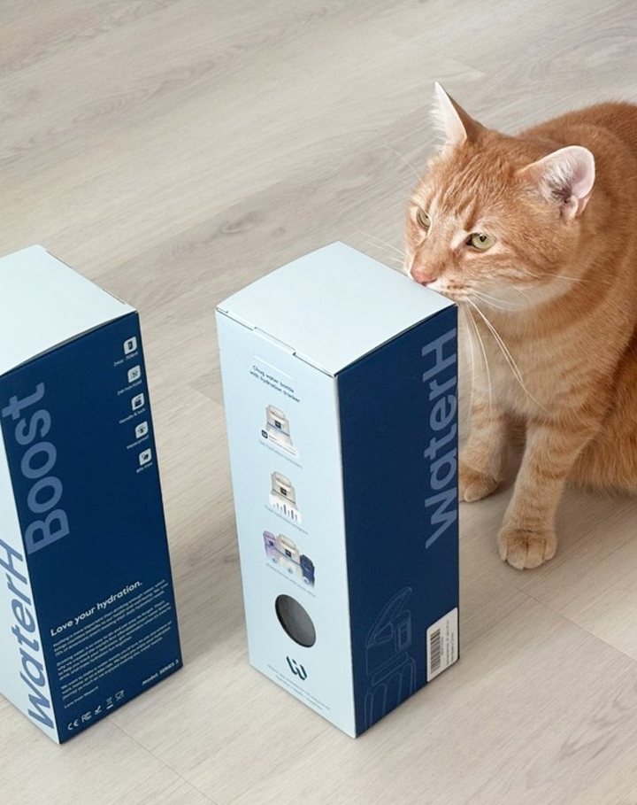 WaterH boxes.